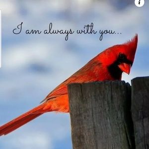 Meet your Posher, Deedra